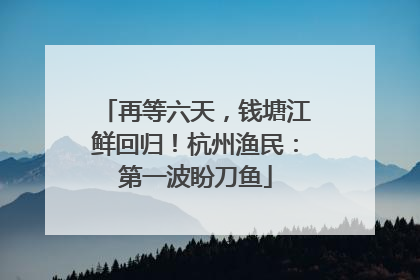 再等六天，钱塘江鲜回归！杭州渔民：第一波盼刀鱼