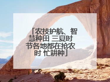 农技护航、智慧种田 三夏时节各地都在抢农时 忙耕种