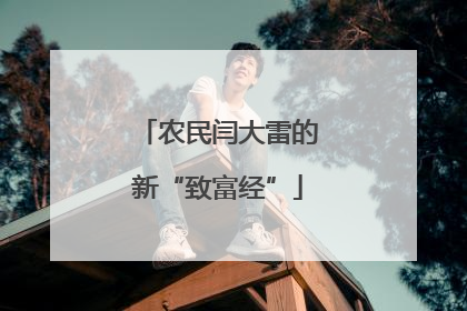 农民闫大雷的新“致富经”