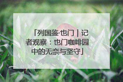 列国鉴·也门｜记者观察：也门咖啡园中的无奈与坚守