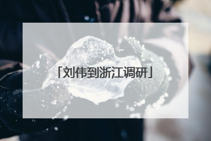 刘伟到浙江调研