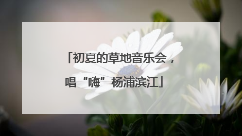 初夏的草地音乐会，唱“嗨”杨浦滨江