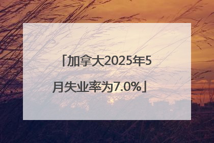 加拿大2025年5月失业率为7.0%