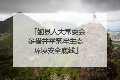 勉县人大常委会多措并举筑牢生态环境安全底线