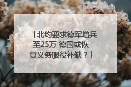 北约要求德军增兵至25万 德国或恢复义务服役补缺？