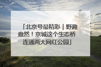 北京号最精彩｜野趣盎然！京城这个生态桥连通两大网红公园