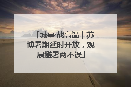 城事·战高温｜苏博暑期延时开放，观展避暑两不误