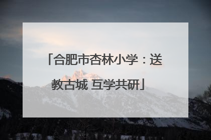 合肥市杏林小学：送教古城 互学共研