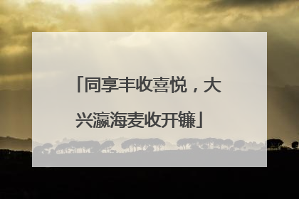 同享丰收喜悦，大兴瀛海麦收开镰