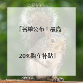 名单公布！最高20%购车补贴