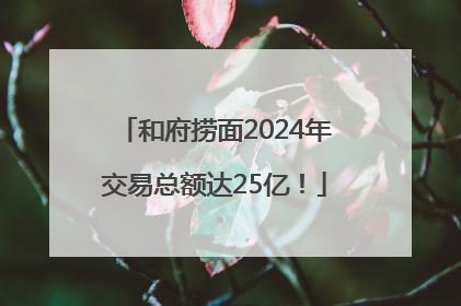 和府捞面2024年交易总额达25亿！