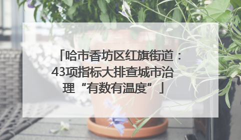 哈市香坊区红旗街道：43项指标大排查城市治理“有数有温度”