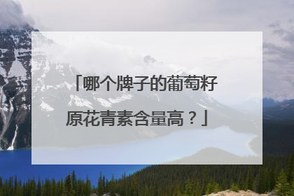 哪个牌子的葡萄籽原花青素含量高？