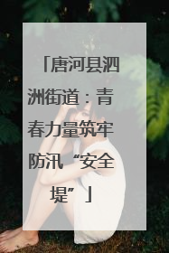 唐河县泗洲街道：青春力量筑牢防汛“安全堤”