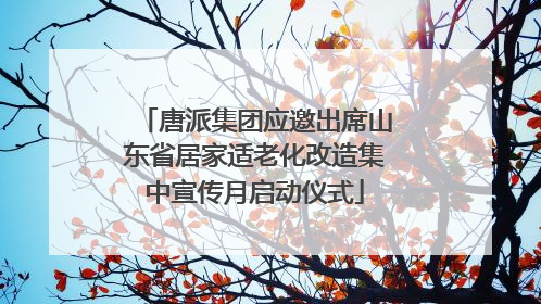 唐派集团应邀出席山东省居家适老化改造集中宣传月启动仪式