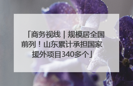 商务视线｜规模居全国前列！山东累计承担国家援外项目340多个