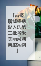 喜报！聊城望岳湖入选第二批省级美丽河湖典型案例