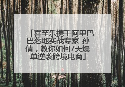 喜至乐携手阿里巴巴落地实战专家-孙倩，教你如何7天爆单逆袭跨境电商