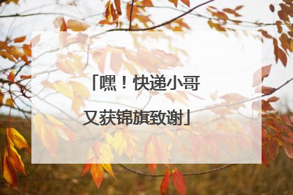 嘿！快递小哥又获锦旗致谢