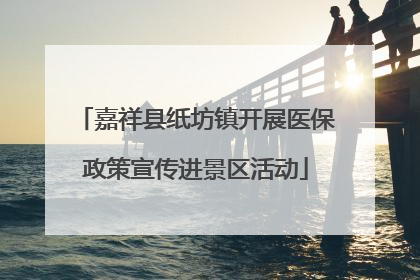 嘉祥县纸坊镇开展医保政策宣传进景区活动