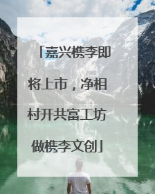 嘉兴槜李即将上市，净相村开共富工坊做槜李文创