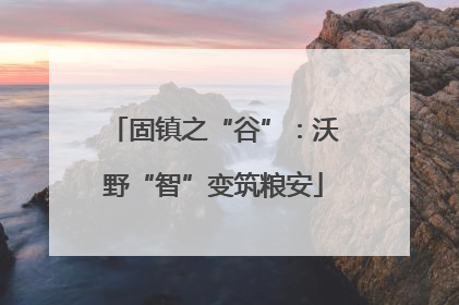固镇之“谷”：沃野“智”变筑粮安