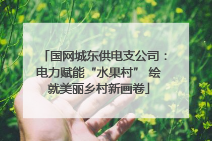 国网城东供电支公司：电力赋能“水果村” 绘就美丽乡村新画卷