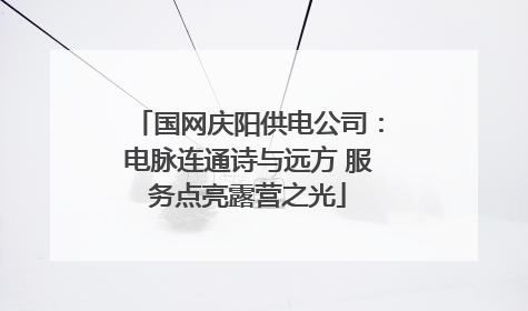 国网庆阳供电公司：电脉连通诗与远方 服务点亮露营之光