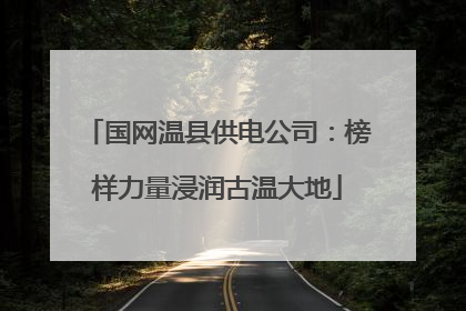 国网温县供电公司：榜样力量浸润古温大地