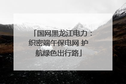 国网黑龙江电力：织密端午保电网 护航绿色出行路