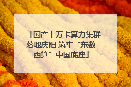 国产十万卡算力集群落地庆阳 筑牢“东数西算”中国底座