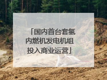 国内首台套氢内燃机发电机组投入商业运营