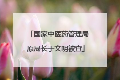 国家中医药管理局原局长于文明被查