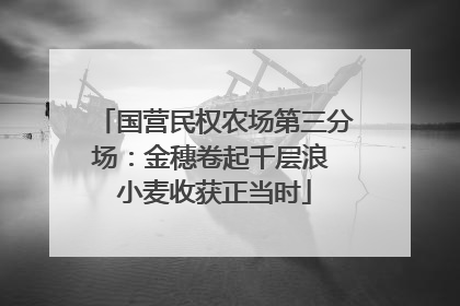 国营民权农场第三分场：金穗卷起千层浪 小麦收获正当时