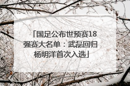国足公布世预赛18强赛大名单：武磊回归 杨明洋首次入选