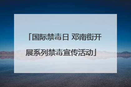 国际禁毒日 邓南街开展系列禁毒宣传活动
