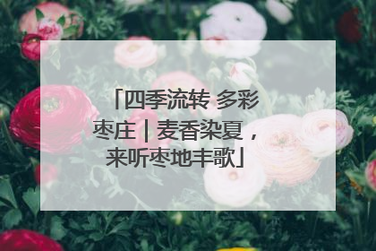 四季流转 多彩枣庄｜麦香染夏，来听枣地丰歌