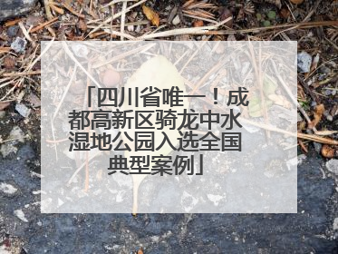 四川省唯一！成都高新区骑龙中水湿地公园入选全国典型案例