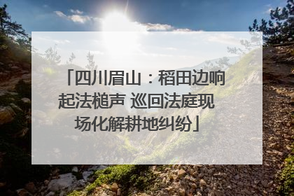 四川眉山：稻田边响起法槌声 巡回法庭现场化解耕地纠纷