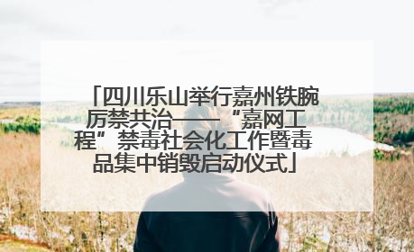 四川乐山举行嘉州铁腕 厉禁共治——“嘉网工程”禁毒社会化工作暨毒品集中销毁启动仪式