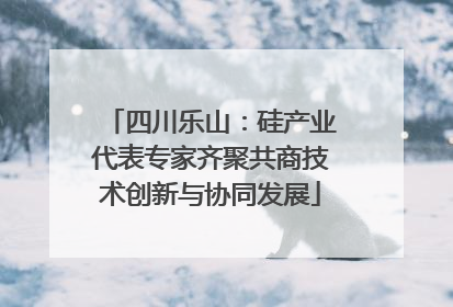四川乐山：硅产业代表专家齐聚共商技术创新与协同发展