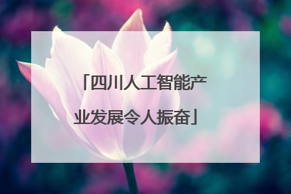 四川人工智能产业发展令人振奋