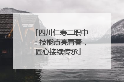 四川仁寿二职中：技能点亮青春，匠心接续传承