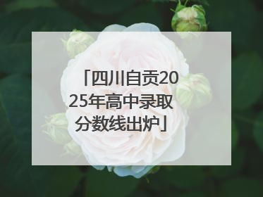 四川自贡2025年高中录取分数线出炉