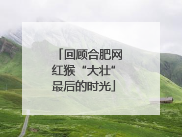 回顾合肥网红猴“大壮”最后的时光