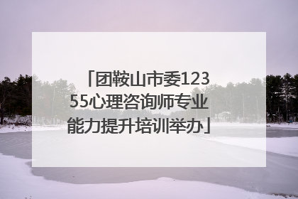 团鞍山市委12355心理咨询师专业能力提升培训举办
