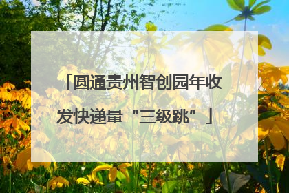 圆通贵州智创园年收发快递量“三级跳”