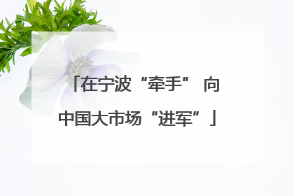 在宁波“牵手” 向中国大市场“进军”