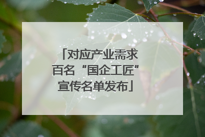 对应产业需求 百名“国企工匠”宣传名单发布