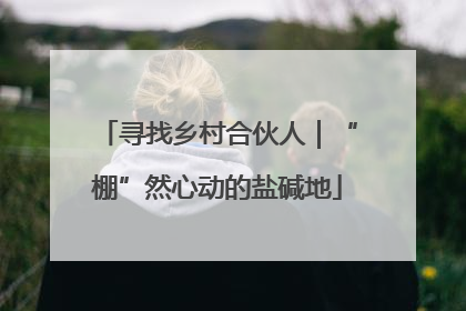 寻找乡村合伙人｜“棚”然心动的盐碱地